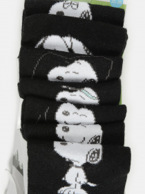 Набор носков C&A модель 56310 Набор носков C&A модель 56310 Фото