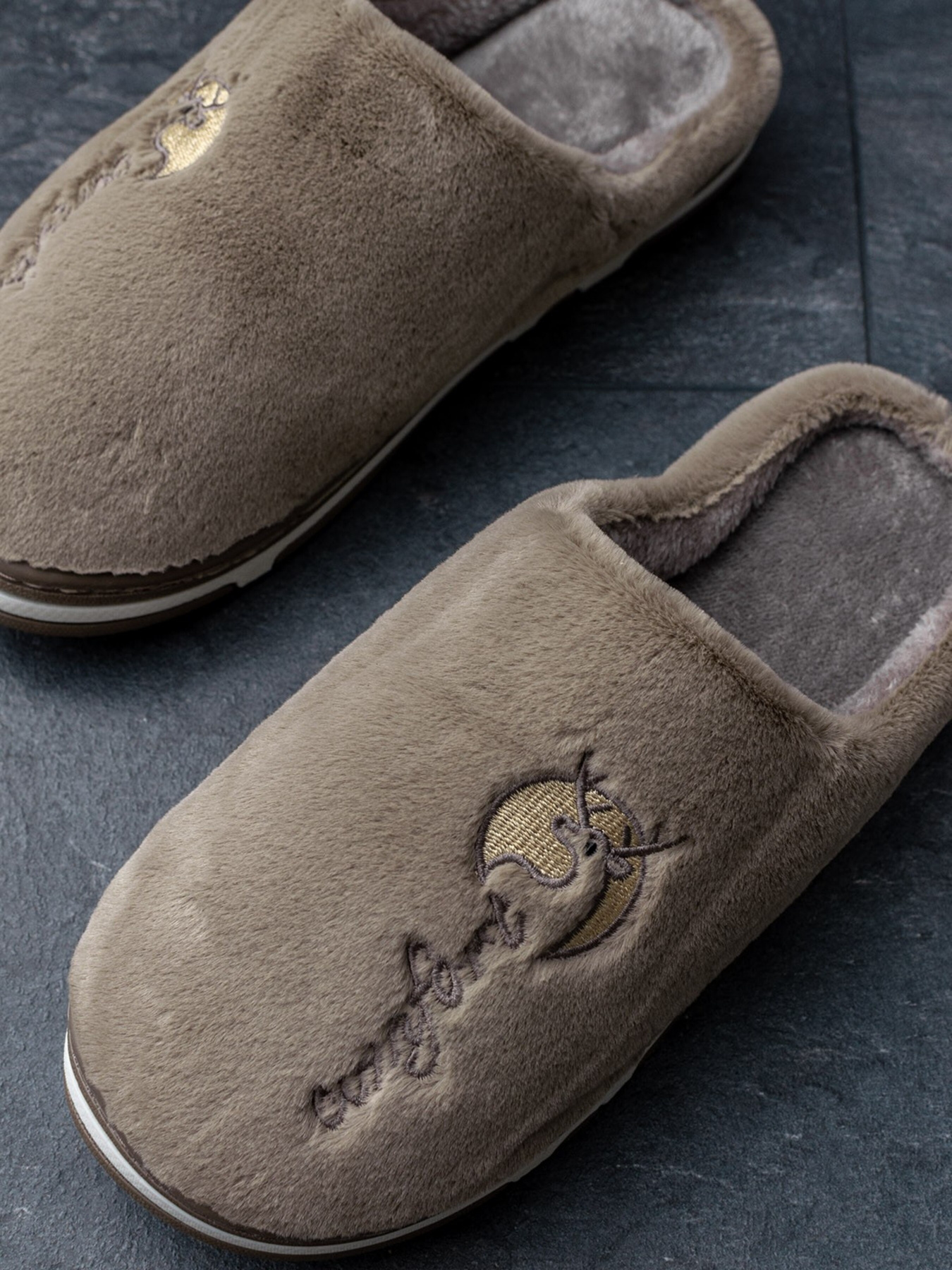 Капці ISSA Plus модель GOB3-04_brown Фото