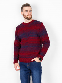 Джемпер ISSA Plus модель GN4-71_burgundy. Фото