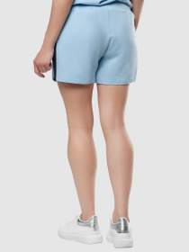 Шорты Arber модель ALW28.11.24 Фото