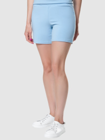 Повседневные шорты Arber модель ALW28.12.23 Фото