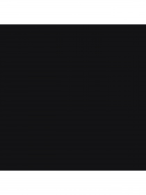 Набір шкарпеток PUMA Women Cat Logo Sock 2P модель 935765 Фото