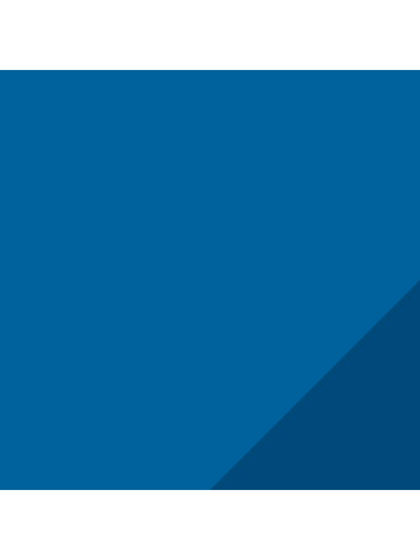 Набор носков PUMA Sport Light Sneaker 2p модель 935476 Фото