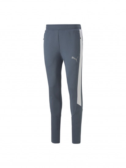 Штаны спортивные PUMA Evostripe Pants модель 849917 - фото