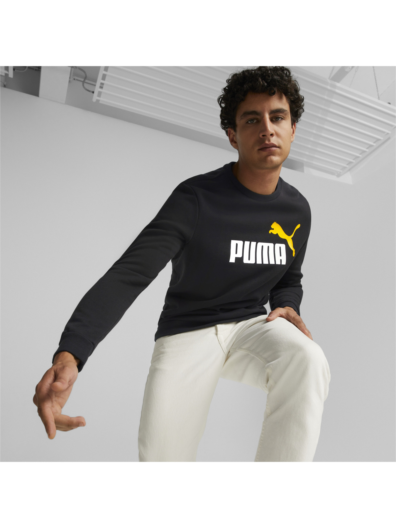 Свитшот PUMA Ess+ 2 Col Big Logo Crew модель 586762 Свитшот PUMA Ess+ 2 Col Big Logo Crew модель 586762 Фото