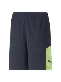 Шорты спортивные PUMA модель 658042 Фото