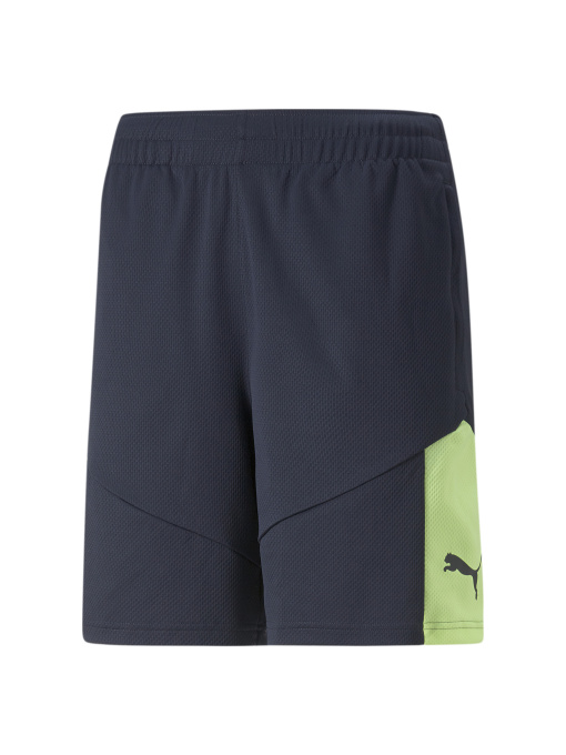 Шорты спортивные PUMA модель 658042 Фото