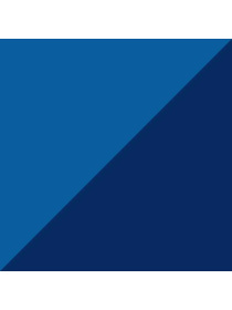 Набор носков PUMA Sport Light Quarter 2p модель 935477 Фото