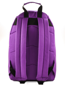 Повсякденний рюкзак Surikat модель 2508 Фото