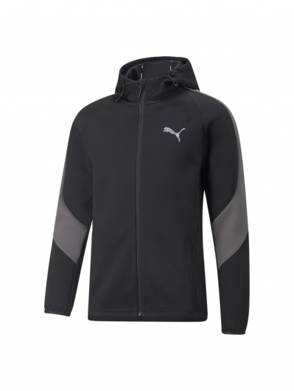 Свитшот PUMA Evostripe Full-zip Hoodie модель 849915 - фото