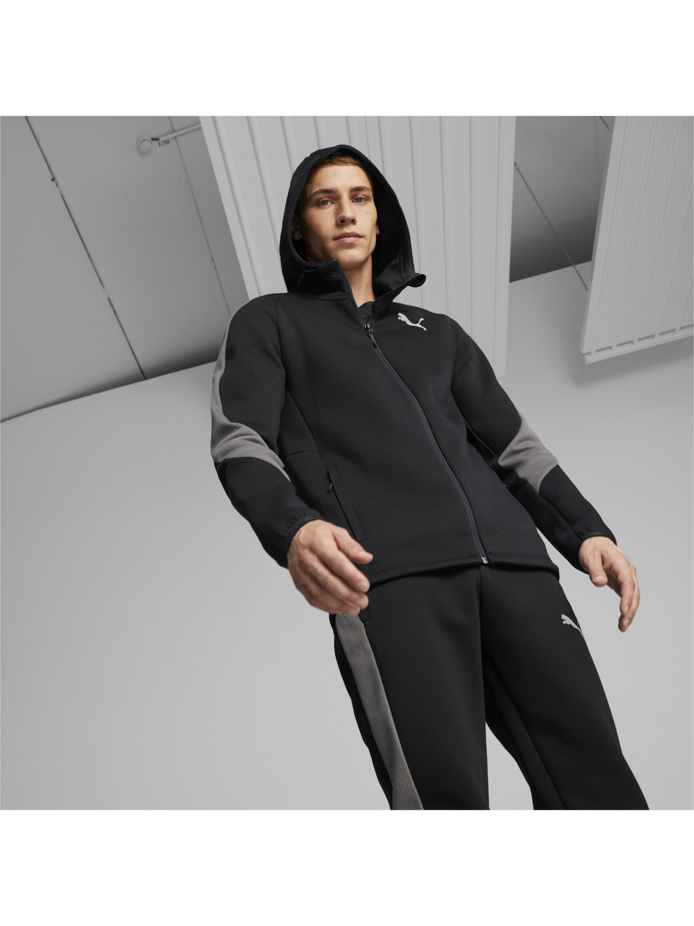 Свитшот PUMA Evostripe Full-zip Hoodie модель 849915 Фото