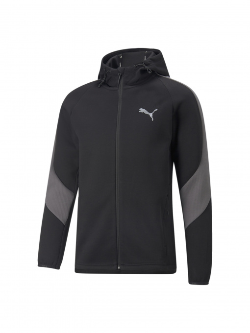 Світшот PUMA Evostripe Full-zip Hoodie модель 849915 Фото