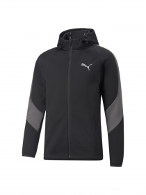 Свитшот PUMA Evostripe Full-zip Hoodie модель 849915 Фото