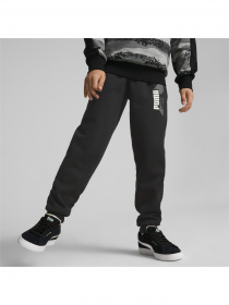 Штаны спортивные PUMA модель 670108 Фото