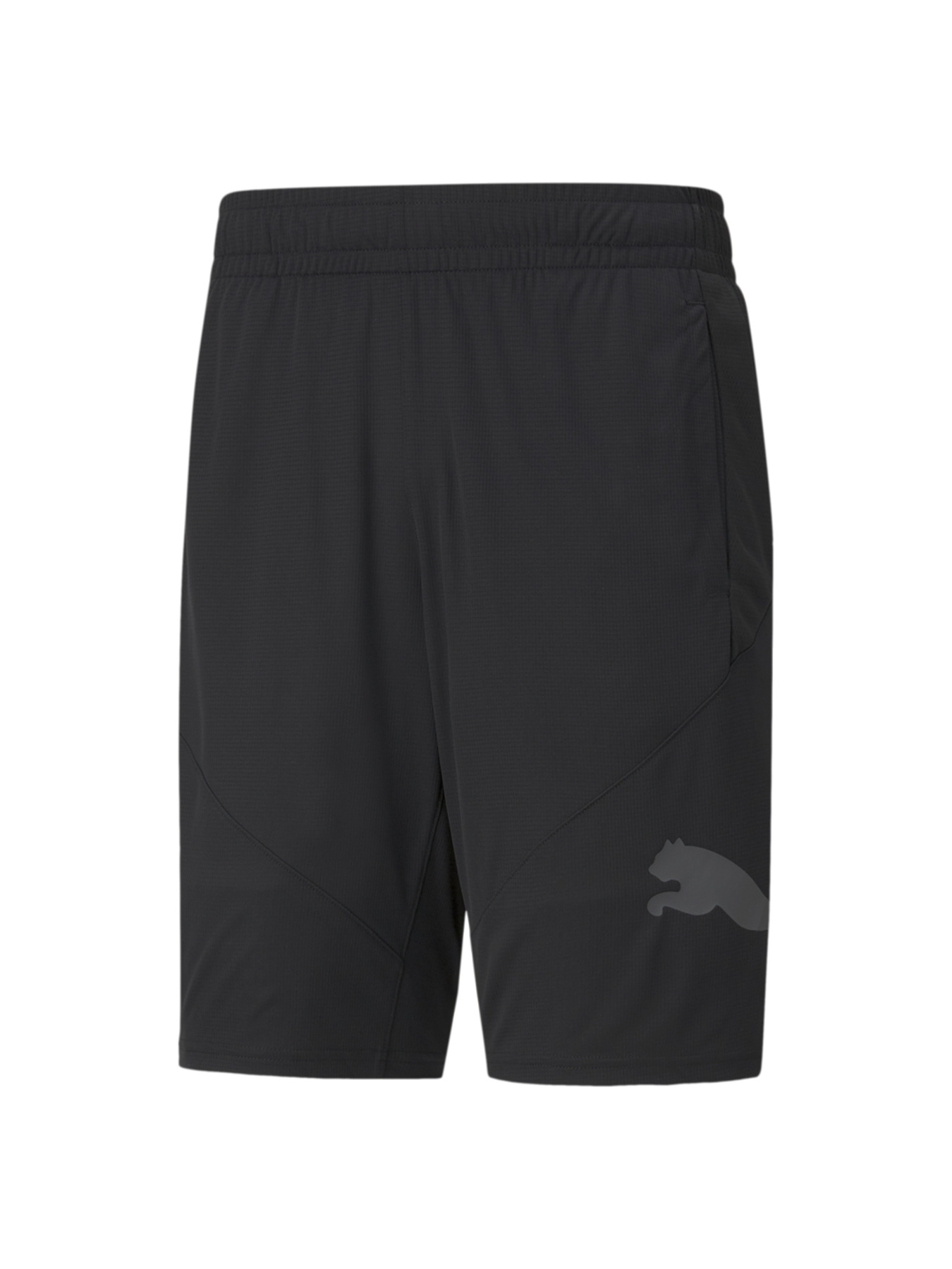 Шорты спортивные PUMA модель 520140 Фото