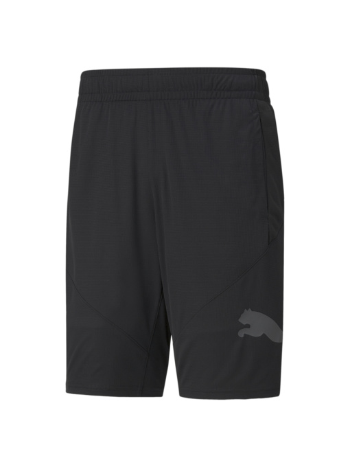 Шорты спортивные PUMA модель 520140 Фото