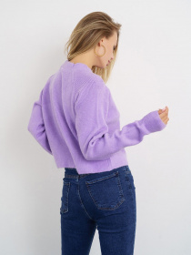 Свитер ISSA Plus модель WN20-326_lilac Фото