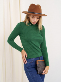 Водолазка ISSA Plus модель WN20-329_green Фото