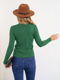 Водолазка ISSA Plus модель WN20-329_green Водолазка ISSA Plus модель WN20-329_green Фото