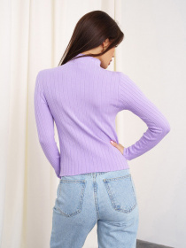 Водолазка ISSA Plus модель WN20-329_lilac Фото