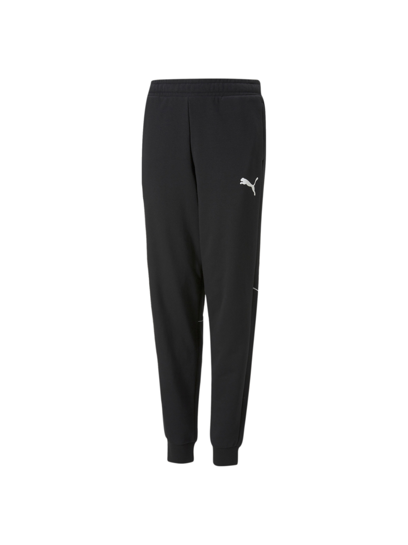 Штаны спортивные PUMA модель 670076 Фото