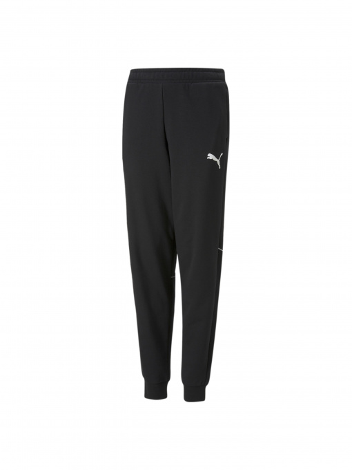 Штаны спортивные PUMA модель 670076 Фото