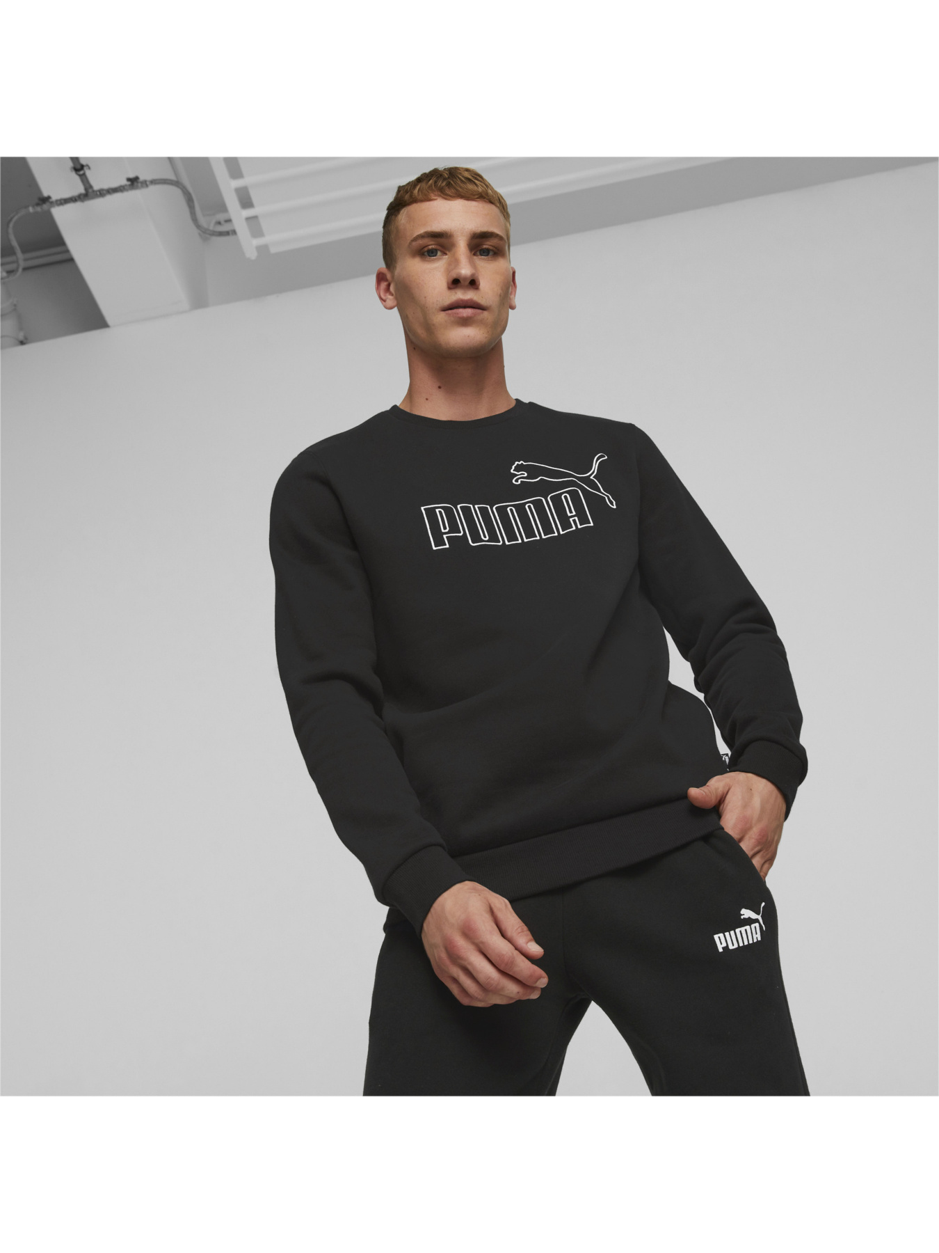 Худи и свитшоты PUMA модель 849885 Фото