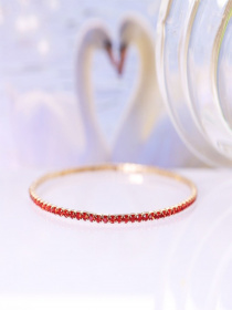 Самостоятельные ISSA Plus модель AK-176_red Фото