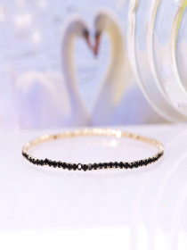 Самостоятельные ISSA Plus модель AK-176_black Фото