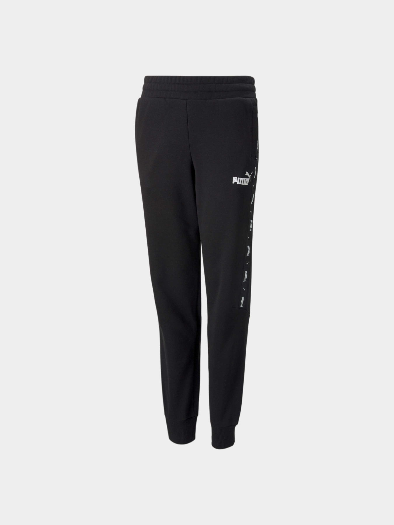 Спортивні штани PUMA Ess Tape Sweatpants модель 847302 Фото