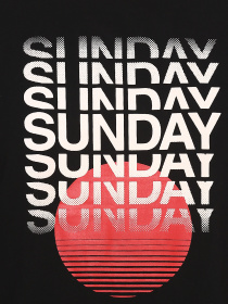 Футболка H&M модель 36382 Фото