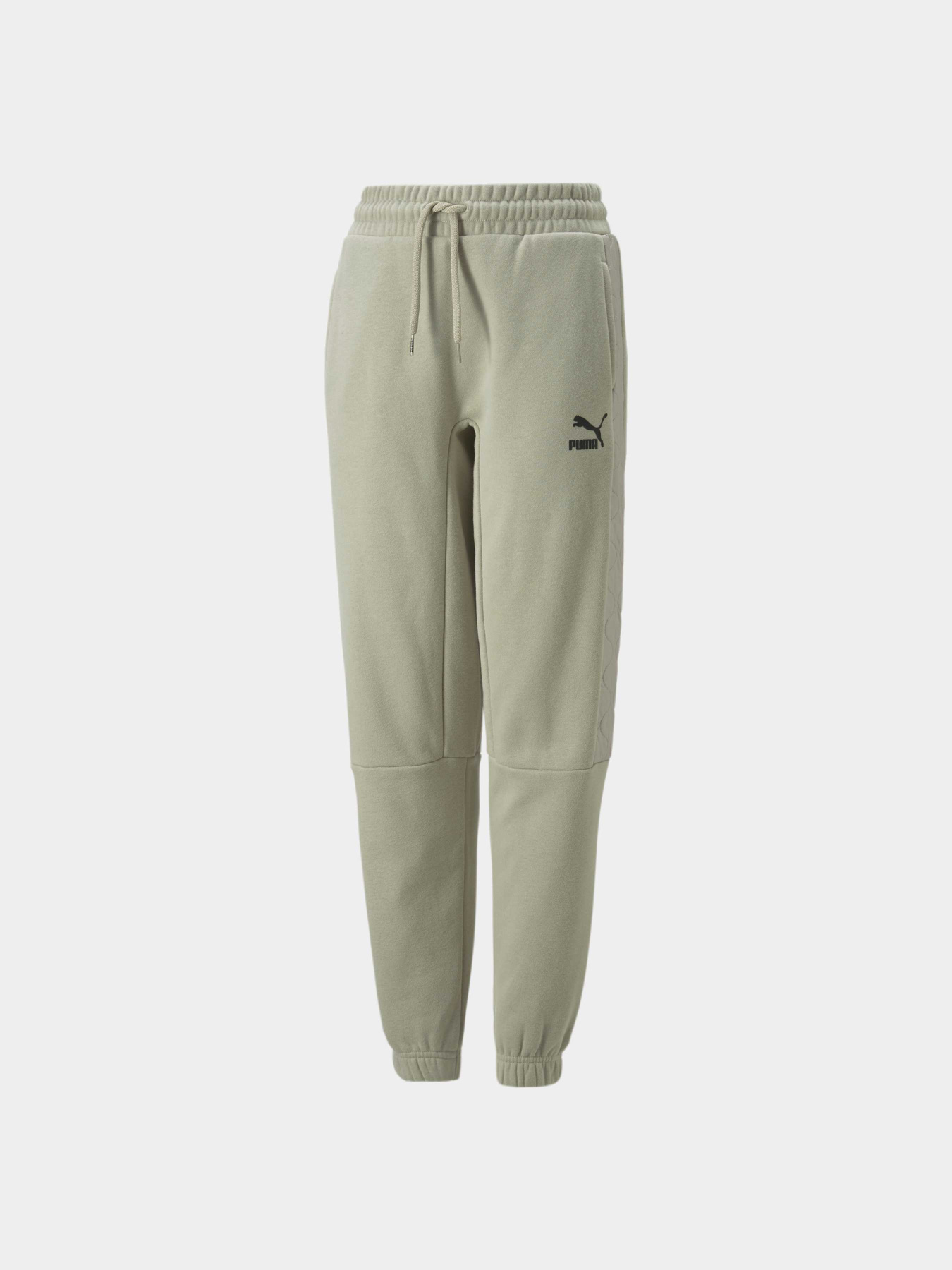 Штани спортивні PUMA Classics Matchers Sweatpants модель 670121 Фото