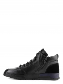 Черевики Arzoni Bazalini модель 00000015289 Фото