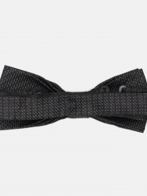 Бабочка C&A модель 62525 Фото