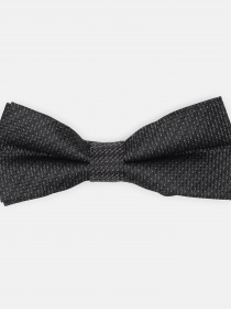 Бабочка C&A модель 62525 Фото