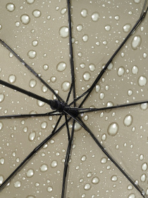 Зонт Monsen модель C13260g-green Фото