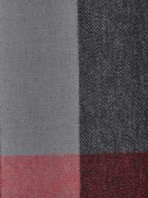 Шарф Regina Notte модель 4000000177908 Фото