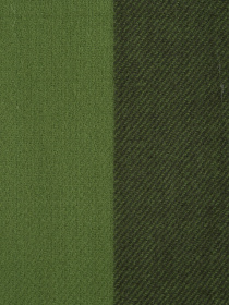 Шарф Regina Notte модель 4000000150567 Фото