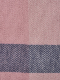 Шарф Regina Notte модель 4000000150482 Фото