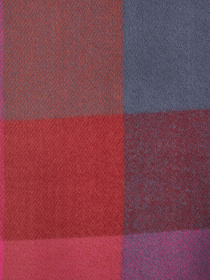 Шарф Regina Notte модель 4000000153384 Фото