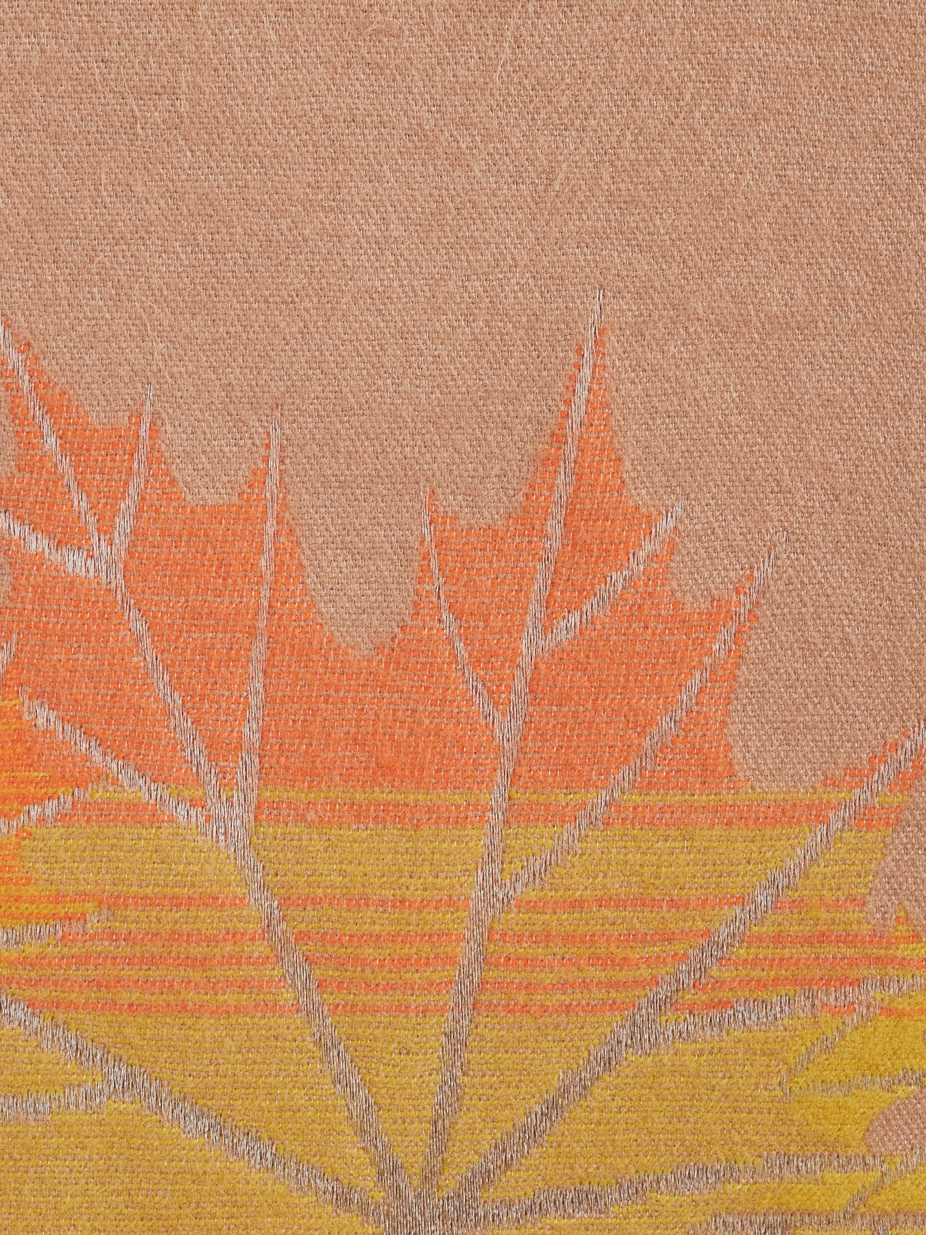 Шарф Regina Notte модель 4000000158624 Фото