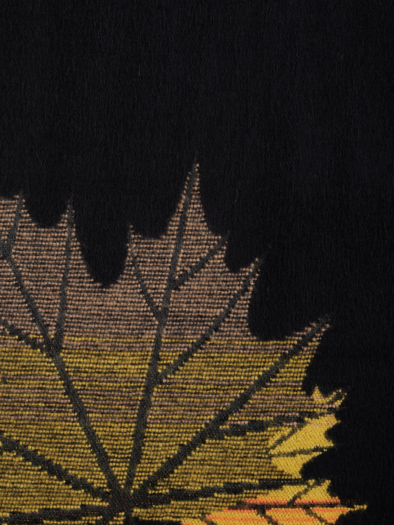 Шарф Regina Notte модель 4000000151267 Фото