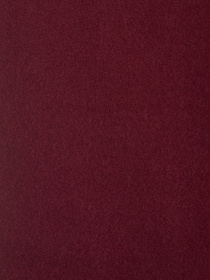 Шарф Regina Notte модель 4000000152554 Фото