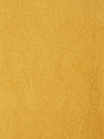 Шарф Regina Notte модель 4000000175799 Фото