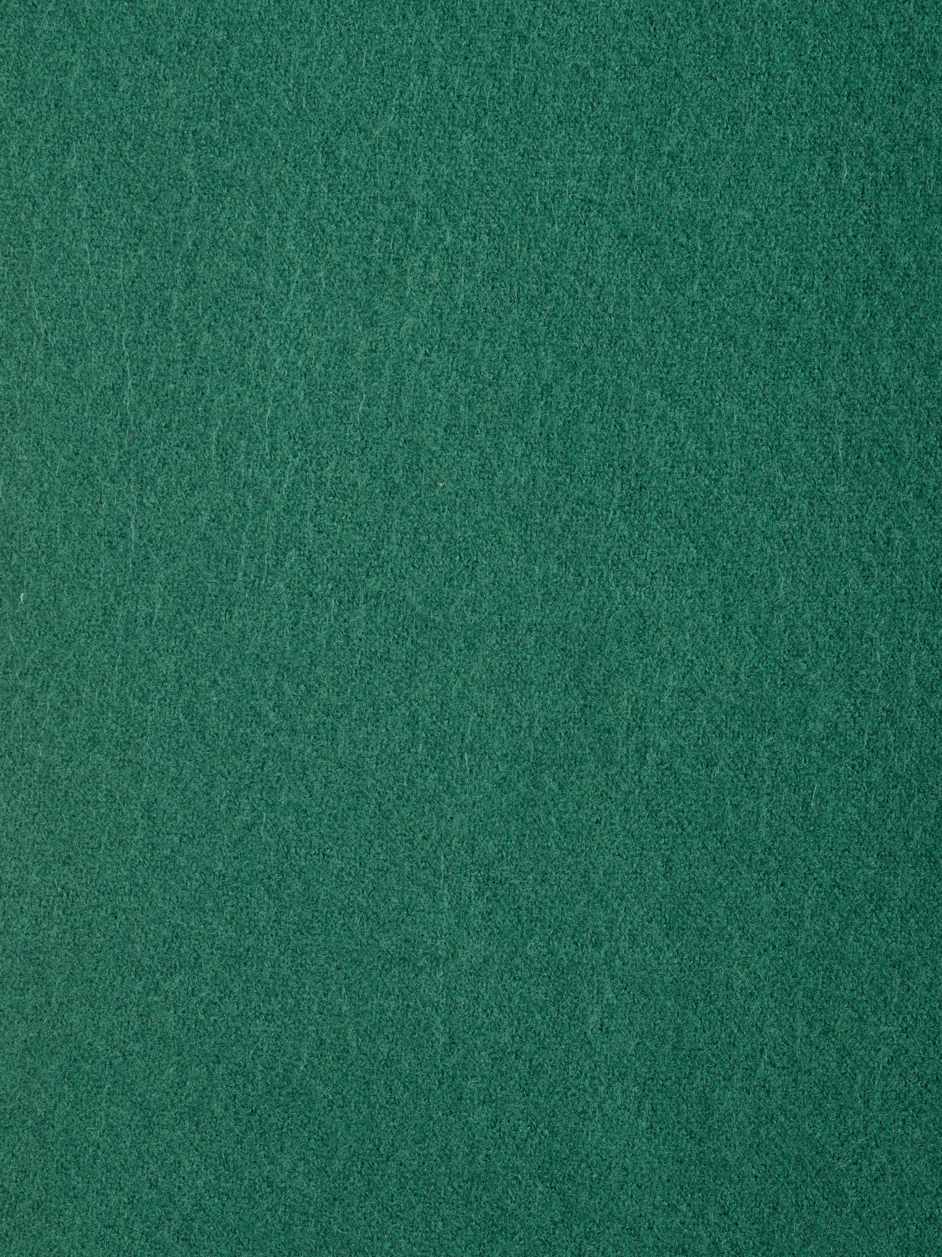 Шарф Regina Notte модель 4000000179476 Фото