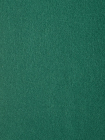 Шарф Regina Notte модель 4000000179476 Фото