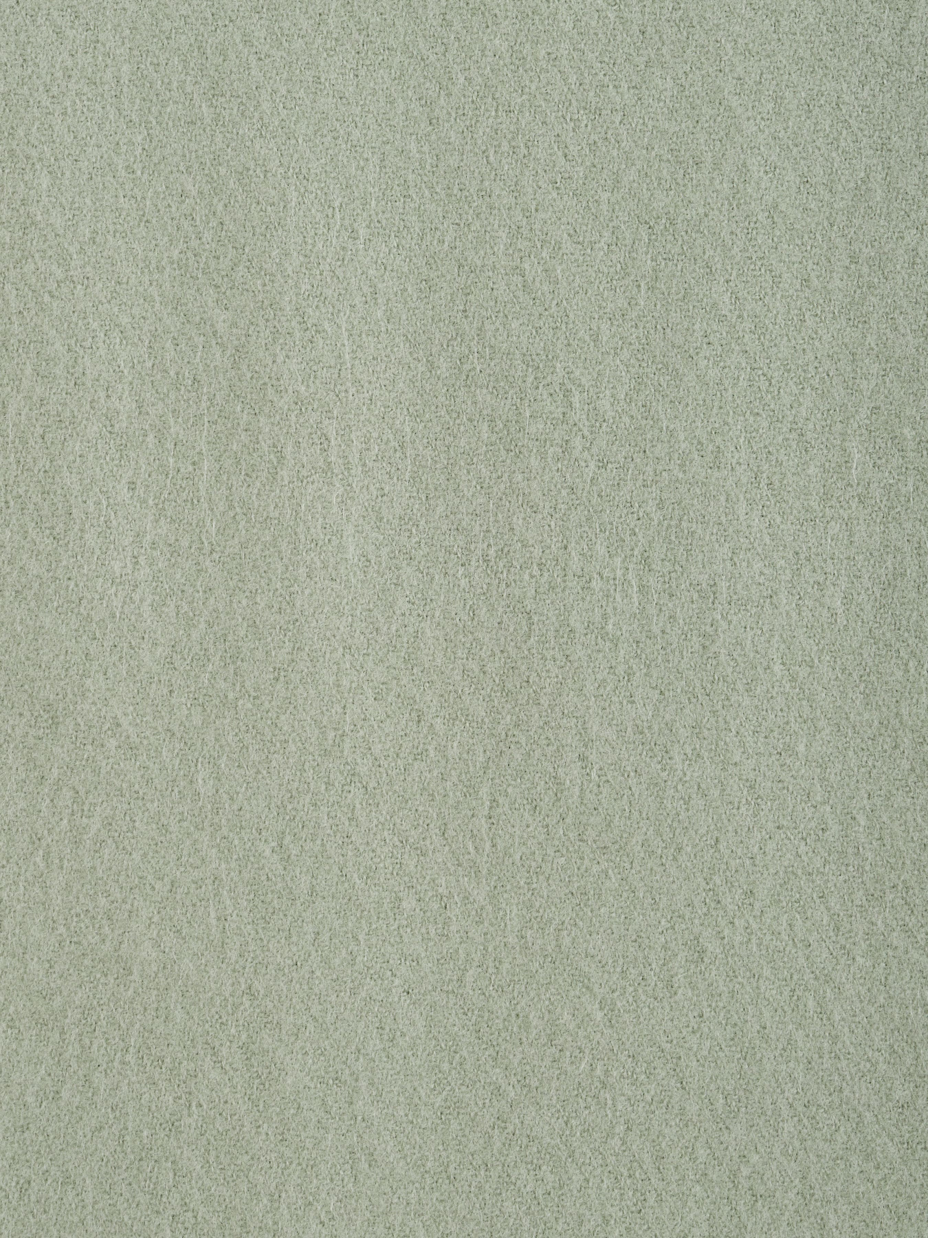 Шарф Regina Notte модель 4000000179407 Фото