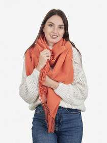 Шарф Regina Notte модель 4000000152035 Фото