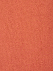 Шарф Regina Notte модель 4000000152035 Фото