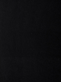 Шарф Regina Notte модель 4000000179834 Фото